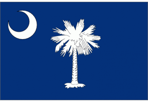 3'x5' South Carolina State Flag Nylon